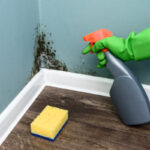 How to Prevent Mould