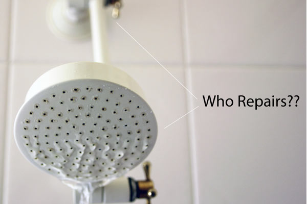 Strata repairs - showerhead