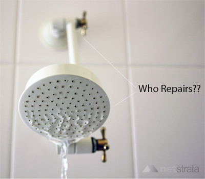 Strata Repairs - Showerhead